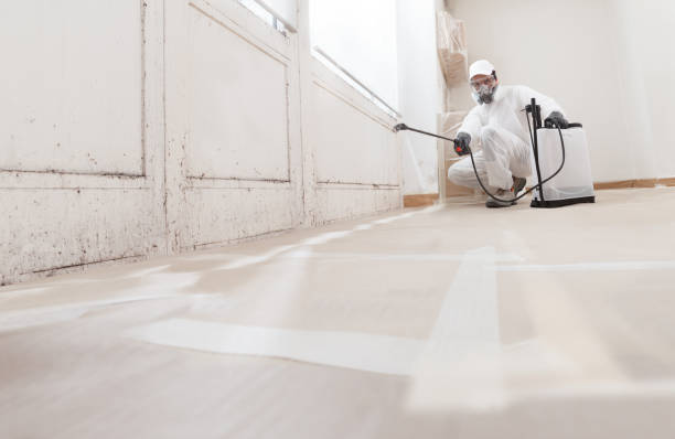 24/7 Emergency Mold Cleanup experts in Plano, TX