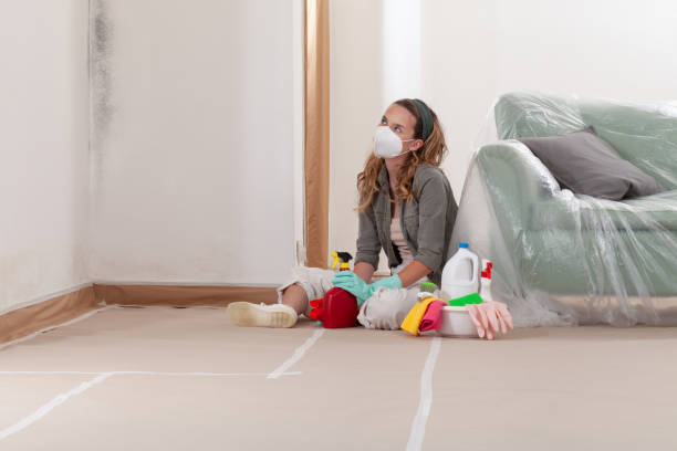Reliable Mold Cleanup contractor in Plano, TX by WQB Mold Removal